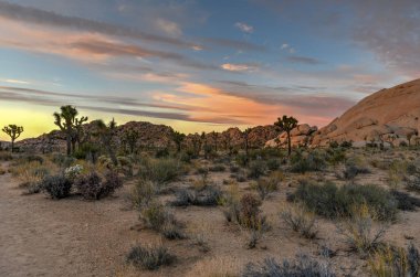 Güzel manzara Joshua Tree National Park California.