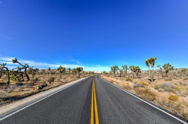 Güzel manzara Joshua Tree National Park California.