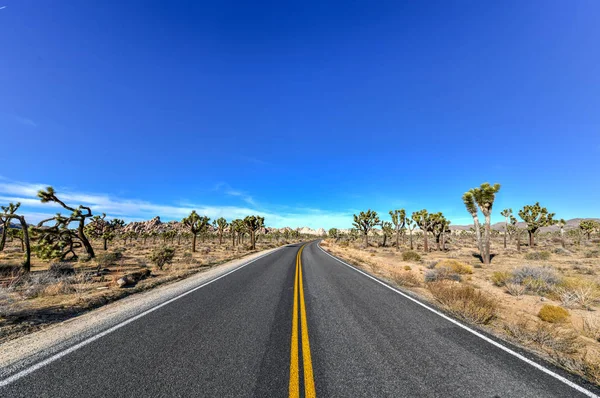 Krásná Krajina Joshua Tree National Park Kalifornii — Stock fotografie