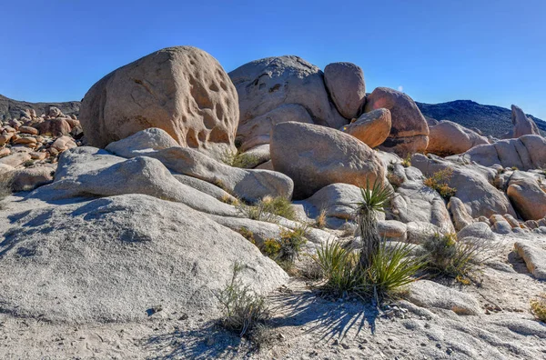 加州约书亚树国家公园的岩石景观 — 图库照片