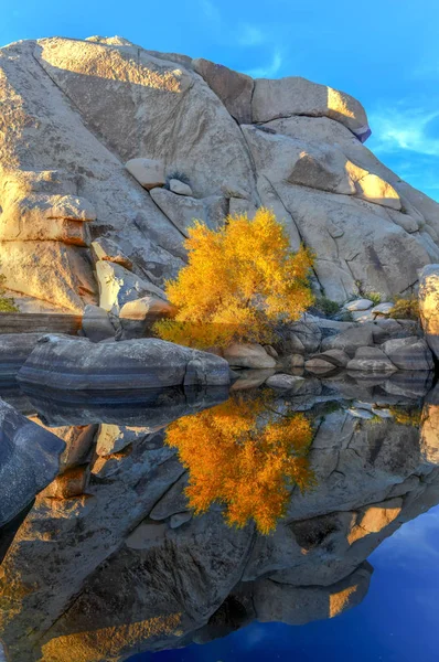 Barker Dam Park Narodowy Joshua Tree Wieczorem Zachodzie Słońca — Zdjęcie stockowe