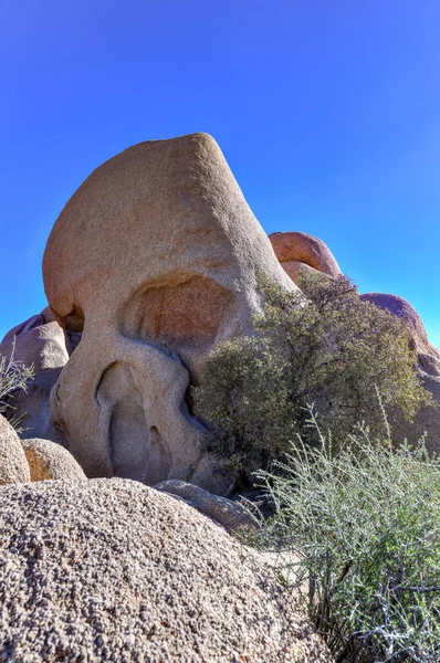 Schedel Rock Joshua Tree National Park Californië Het Een Favoriete — Stockfoto
