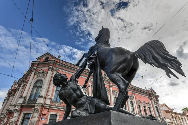 Koń Tamer Rzeźby Xix Wieku Ermitażu Sankt Petersburgu Rosja — Zdjęcie stockowe