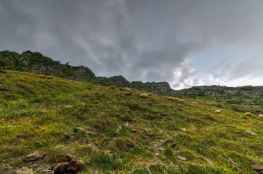 Panoramik peyzaj-Kazbegi, Gürcistan