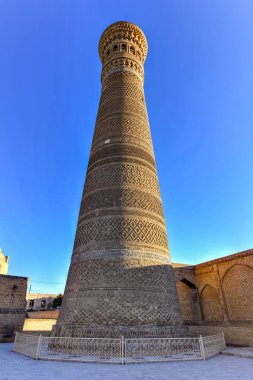 Kalon 'un büyük minaresi - Buhara, Özbekistan