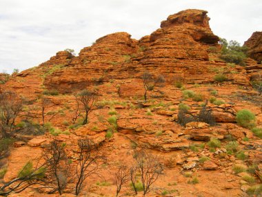Kings Canyon 'un panoramik manzarası, Orta Avustralya, Kuzey Toprakları, Avustralya