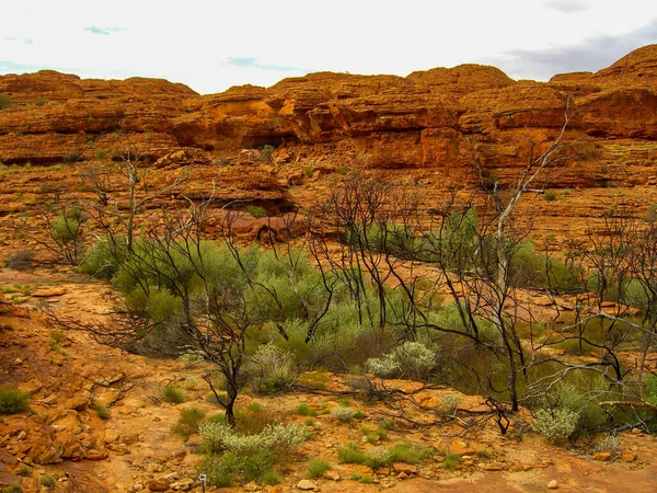 Blick Auf Den Kings Canyon Zentralaustralien Northern Territory Australien — Stockfoto