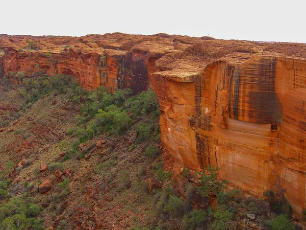 Panoramautsikt Över Kings Canyon Central Australia Northern Territory Australien — Stockfoto