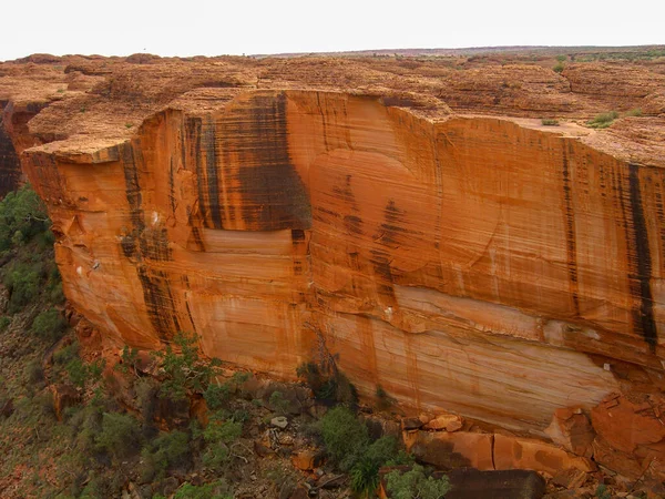 Vue Panoramique Canyon Kings Australie Centrale Territoire Nord Australie — Photo