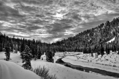 Kış boyunca ABD 'nin Wyoming kentinde Gri Nehir boyunca taze kar manzarası.