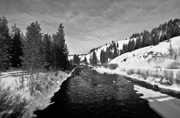 Fresco Paesaggio Innevato Attraverso Grey River Nel Wyoming Usa Durante — Foto Stock