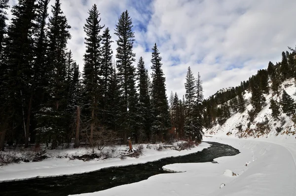 Fresco Paesaggio Innevato Attraverso Grey River Nel Wyoming Usa Durante — Foto Stock