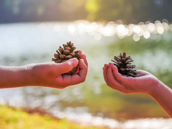 İki el değişimi bitki tohum