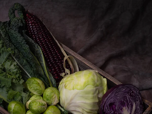 koyu arka plan ile sebze seti