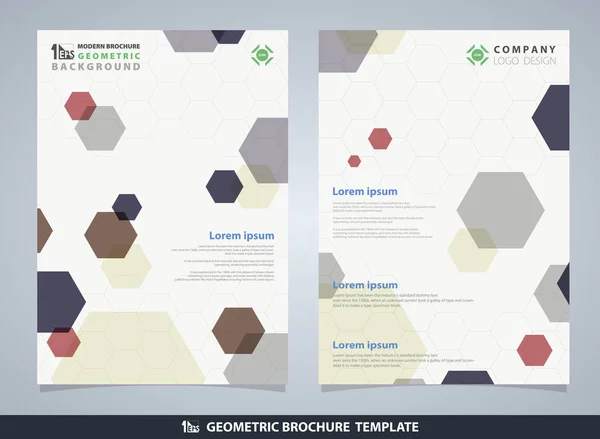 Abstrakte Bunte Pentagon Geometrische Muster Broschüre Design Vorlage Sie Können — Stockvektor