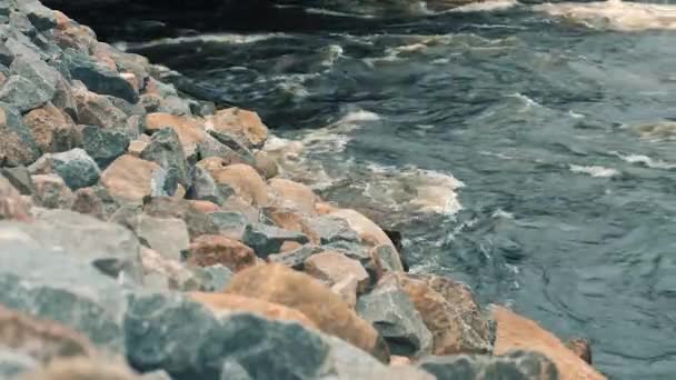 Rough River Kust Vuoksa River Ryssland — Stockvideo