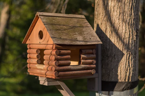 Alimentador Aves Forma Casa Madera — Foto de Stock