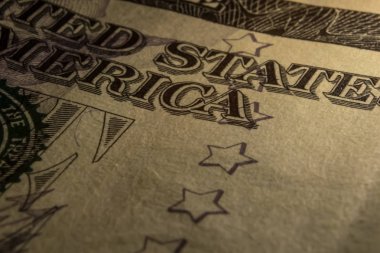 5 dolarlık banknot makro fotoğraf