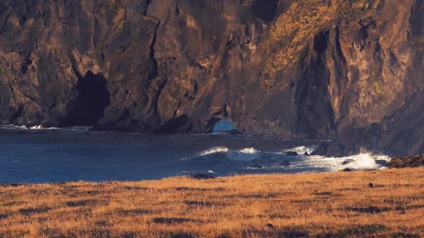 Vista Sobre Océano Tormentoso Cerca Cape Dyrholaey Islandia — Vídeo de stock