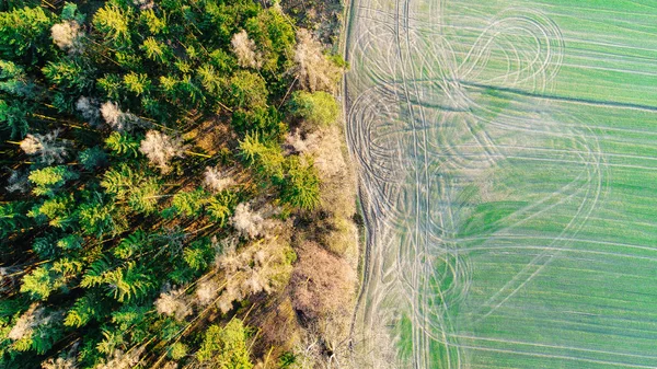 Widok Góry Krawędzi Między Zielonych Pól Lasu Natura Tło Tekstura — Zdjęcie stockowe