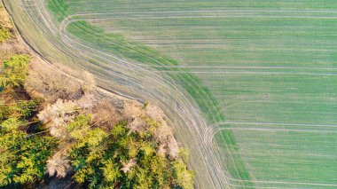 Üstten görünüm kenar orman ve yeşil alan arasında. Doğa arka plan doku sınır.