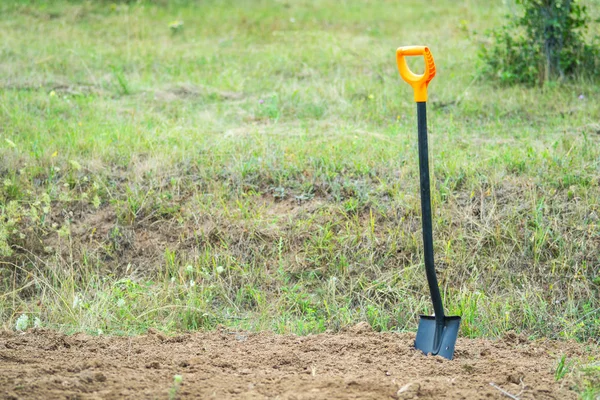 Çalışma içinde Bahçe ile spade. Ekim ve dikim için toprak hazırlanması. Eski çim kazma.
