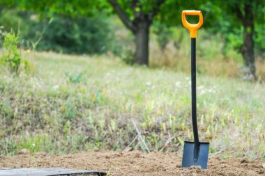 Çalışma içinde Bahçe ile spade. Ekim ve dikim için toprak hazırlanması. Eski çim kazma.