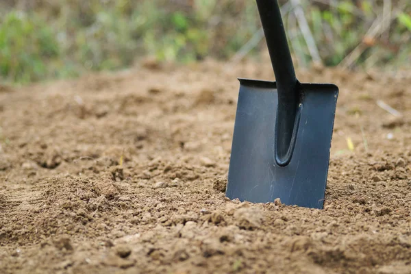 Trabajando en el jardín con pala. Preparación del terreno para la siembra y la plantación. Excavación de césped viejo . —  Fotos de Stock