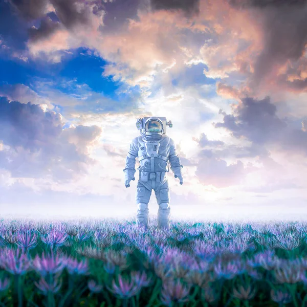 Belépni Álmokba Illusztráció Szürreális Sci Jelenet Magányos Űrhajós Sétál Mező — Stock Fotó