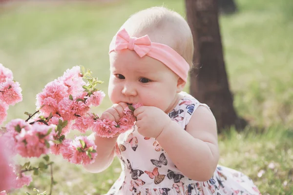 Retrato de cerca de una niña linda sentada en la hierba de un parque y comiendo flores de un árbol de sakura floreciente —  Fotos de Stock
