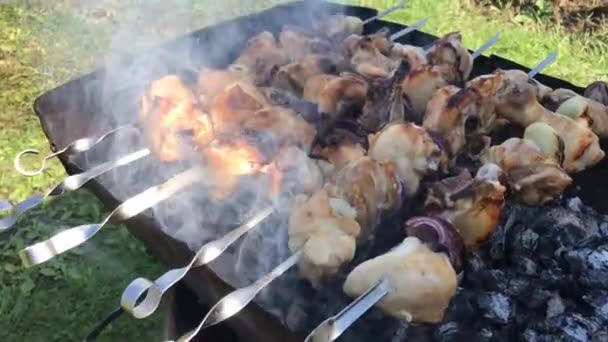 Filmación de video con carne de pollo a la parrilla con carbones calefactores en barbacoa con pinchos de metal con humo blanco sobre ellos — Vídeos de Stock