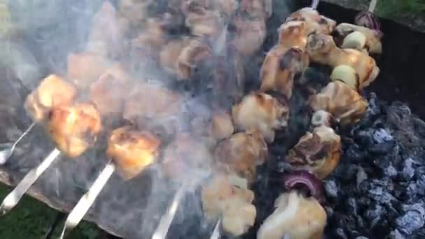 Filmación de video con carne de pollo a la parrilla con carbones calefactores en barbacoa con pinchos de metal con humo blanco sobre ellos — Vídeos de Stock