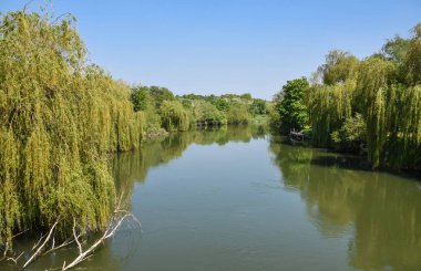 Thames Nehri Hampshire kırsal sarma