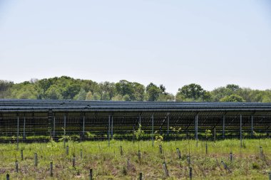 Güneş panelleri güneş enerjisi çiftliğinde arkadan görünümü
