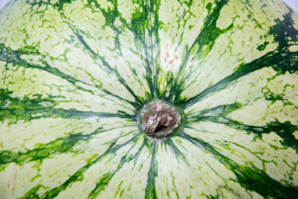 Photograph Water Melon Fruit — Stock Photo, Image