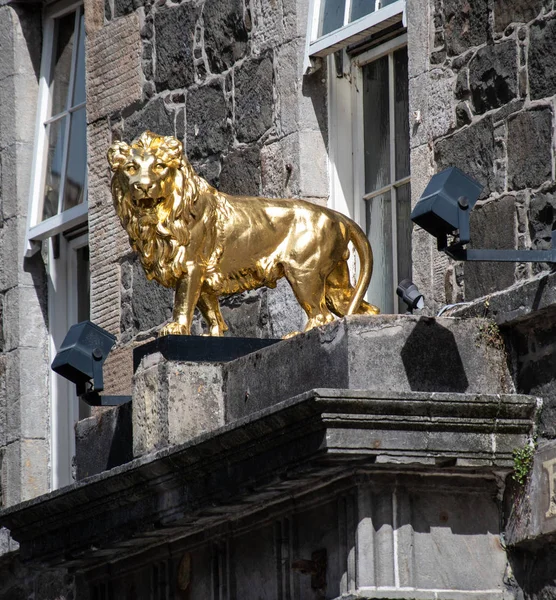 Stirling Verenigd Koninkrijk Augustus 2018 Kleine Gouden Leeuw Standbeeld Boven — Stockfoto