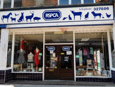 Basingstoke, İngiltere - 05 Temmuz 2018: Londra sokakta Rspca sadaka dükkanı açık giriş
