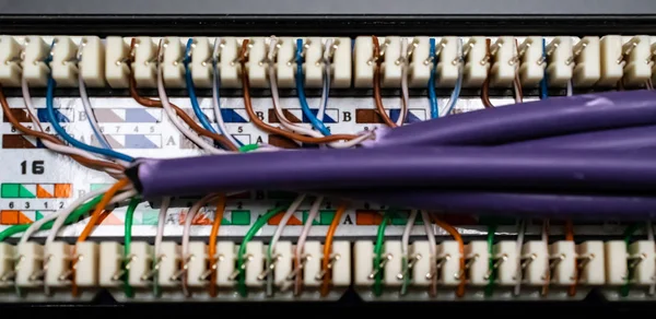 英国贝辛斯托克 2018年9月13日 以太网修补面板上的后端连接器关闭 — 图库照片