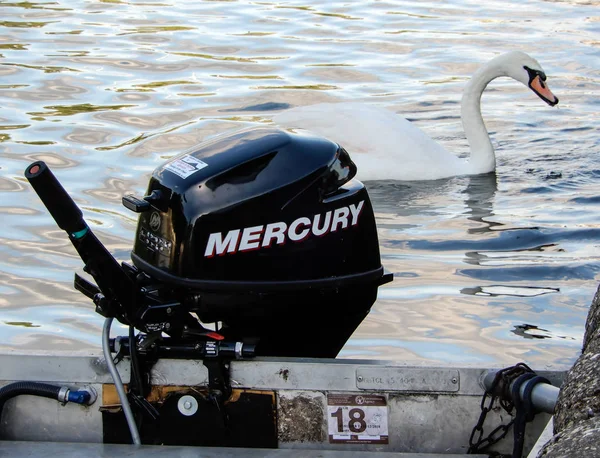 Mercury Four Stroke Utombordsmotor Och Knölsvan Themsen — Stockfoto