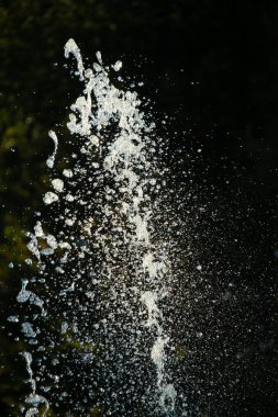 Su Parkı Fountain 's Ark üstündeki bir yüksek hızlı görüntü
