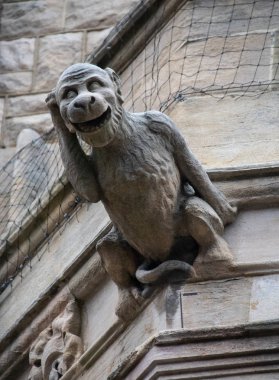 Taş Maymun Gargoyle