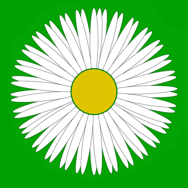 Graphic daisy logo — Stock Photo, Image