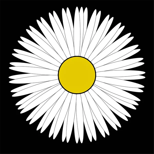 Logo grafis daisy — Stok Foto