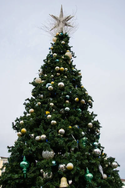 Atlantischer Weihnachtsbaum — Stockfoto