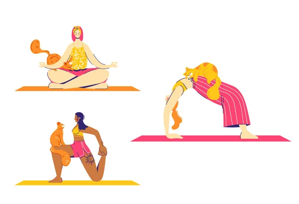 Personajes femeninos practican yoga con gatos. Rueda, loto y pose de embestida . — Vector de stock