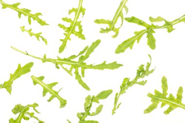 Üstten Görünüm üzerinde beyaz adam izole taze roka yaprakları