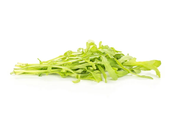 Roquette Fraîche Isolée Sur Fond Blanc Congé Vert — Photo