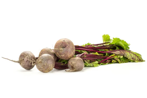 Red Beet Bundle Greens Isolated White Background Five Bulbs Root — Stock Photo, Image