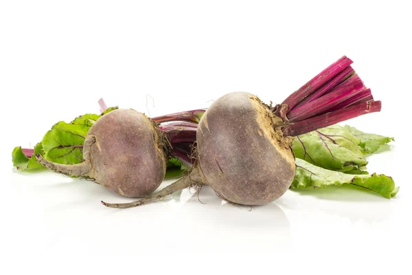 Rödbetssallad Med Skurna Toppar Två Unga Lökar Och Gröna Blad — Stockfoto