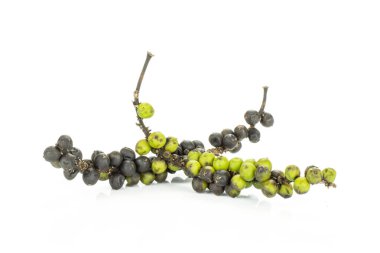 Beyaz adam izole iki olgunlaşmamış taze karabiber üzüm